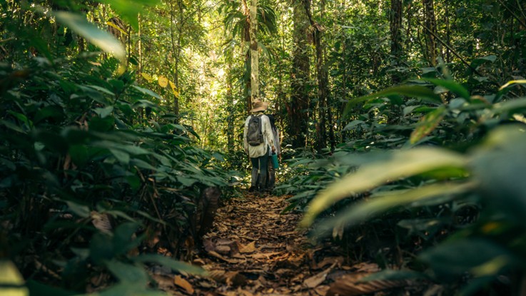 Rainforest-Expeditions-impulsa-experiencias-en-la-Amazonia-que-ayudan-a-cambiar-la-percepcion-sobre-los-insectos.jpg